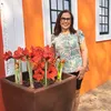 francelinacolossal