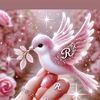 sona.moni2470