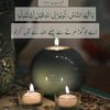shahzad.ali8185