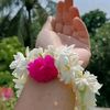 mstshirin19