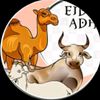 alaikabibi6