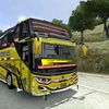 zzxcr15