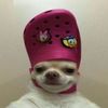 romdickboy