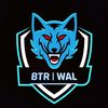 wal_tzy1