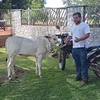 user12358381502423