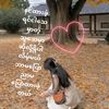 sandar.moe2451