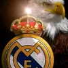 habib.abdo43