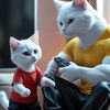cat_st0ries