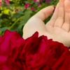 hurrali272cutestar