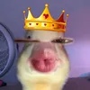 thaonguyencteso1tg