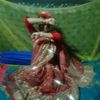 anowar.suvo