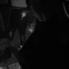 dh