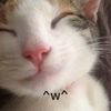 kitty.wong