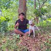 fauzan.fauzan8230