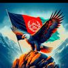 walikhan.shafi