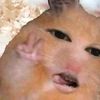 call.me.chells
