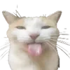 aresheer