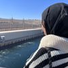 alzahraa.basyouni