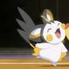 porypoko