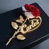 carlos.terreros8