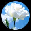 user012144516