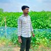mdjibnosardar55
