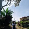 .imaa09_