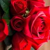 somi.akther418