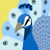 pradeep.nilantha90