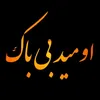 TikTok || Omid Bibak