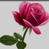 mehmet.mehmet851