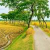 md.abdul.kaiyum19