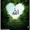 user4474339867627