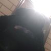poy_poy2006