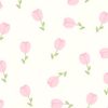dandn_2