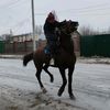 daiyr.asanov