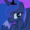 mvxq_equestrian