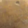 chuipala94