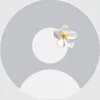 anwar.alrifai