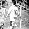 lucca.____7