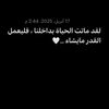 lod_2024