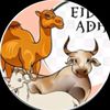 dardi.suwito
