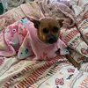 evie65801