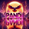 pandi8765