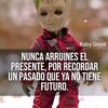ddyflores1