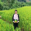 gi.t.l.bnh.bao3