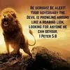joseph.candelario41