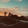 lily_24670