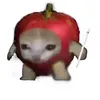 piaaxxdump