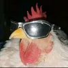 galinho07458847